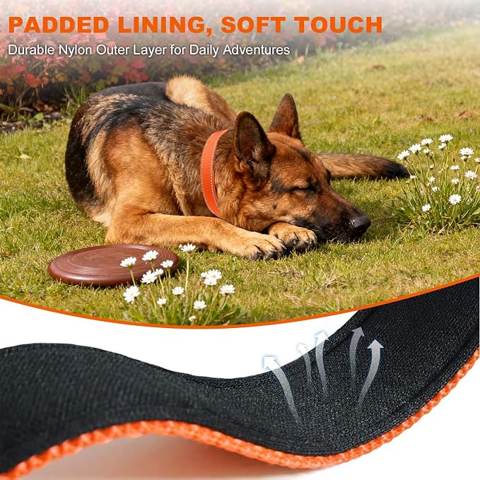 Taglory Reflective Dog Collar for Large Dogs, Soft Neoprene Padded with Escape-Proof Locking Buckle, Upgraded Zinc Alloy Ring, Adjustable for Pitbull Labrador Retriever, Orange,L