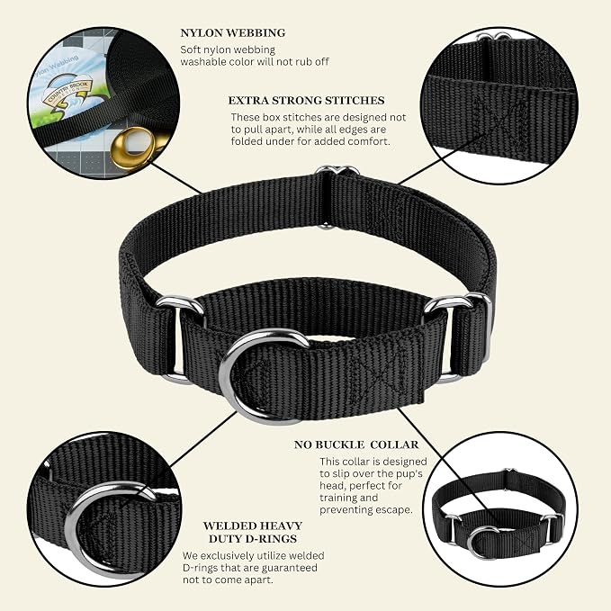 Country Brook Petz - Martingale Dog Collar - Heavy-Duty Training Collar with No Buckle - Service Dog Collar for All Pups - 20 Vibrant Colors (Black, 1 Inch, Medium)