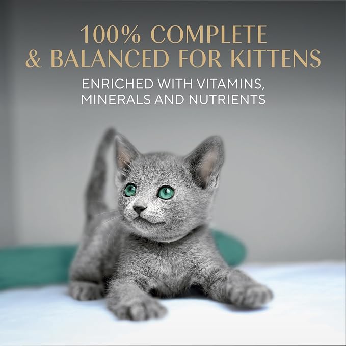 Sheba Perfect Portions Kitten Wet Food, Pate Cat Food Wet Entree, Salmon Recipe, 2.6 oz. Twin-Pack Trays (24 Count, 48 Servings)