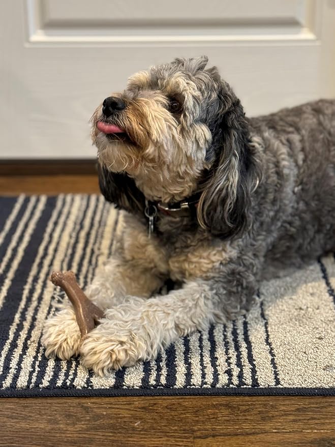 SPOT Bam-Bones Wishbone Dog Chew Toy, Bamboo Fiber Blend, Non-Splintering Durable Chew for Light to Moderate Chewers, Adult Dogs & Teething Puppies 10–30 lbs, Chicken Flavor, 5.25 in