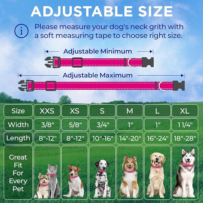 TECEUM Reflective Dog Collar – Hot Pink – S – Extra Soft Padding – Basic Nylon Pet Collar – Quick Release Buckle – Fits Small, Medium and Large Dogs, Puppies, Cats – ESA & Service Dog Options