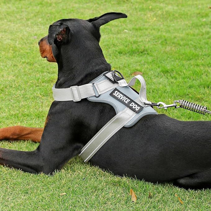 Service Dog Harness, Reflective Dog Vest Harness with 5 PCS Patches, Adjustable Soft Oxford Pet Harness, Inner Layer Mesh, Easy to Control for Small Medium Large Dogs