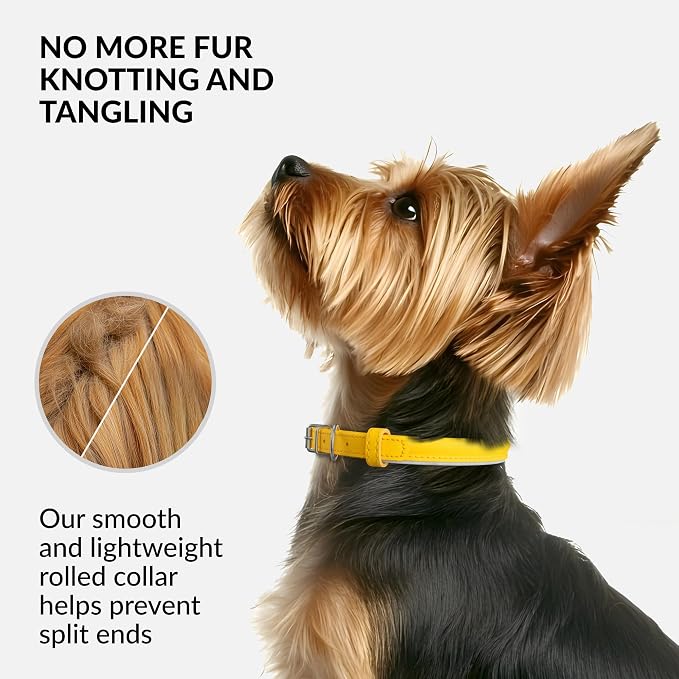 CollarDirect Reflective Rolled Leather Dog Collar, Soft Padded Round Puppy Collar, Handmade Genuine Leather Collar Dog Small Large Cat Collars 13 Colors (6-7 Inch, Yellow Reflective)
