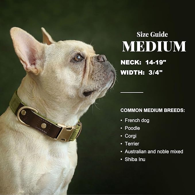 Didog Soft PU Leather Dog Collars for Medium Dogs,Classic Adjustable Dog Collars with Quick Release Metal Buckle,Easy Clean and Comfortable with Nylon Lining,Olive Green,M Neck 14-19"