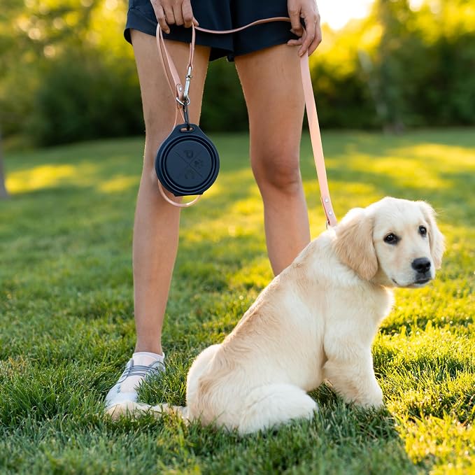 Pup Culture Dual Collapsible Dog Bowls | Silicone Travel Water Bowl for Dogs | Food Grade, No Plastic Rim, Portable Dog Bowl for Food and Water - Easy to Clean | BPA Free and Safe for Your Pup-Green