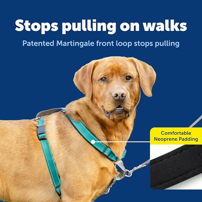 PetSafe 3 in 1 No-Pull Dog Harness for Large Dogs - Walk, Train or Travel - Helps Pets from Pulling on Walks - Seatbelt Loop Doubles as Quick Access Handle - Reflective- Large, Teal