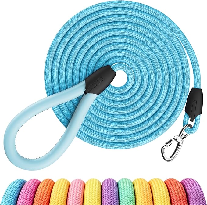 Small Dog Leash, 5ft Dog Leashes for Medium Dogs, Blue Leash, Rope Dogs Leashes, Strong Nylon Pet Lead, Pet Leather, Puppy Lead, Comfortable Leather Handle (Mint Blue, 5 Feet)
