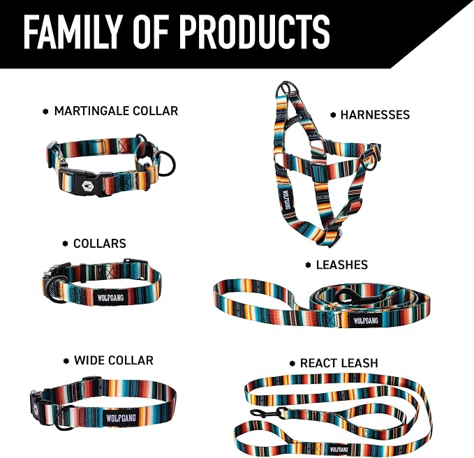 Wolfgang Heavy Duty, Adjustable Dog Collar with Quick Release Nylon Buckle for Walking & Training, LostArt Print, Small