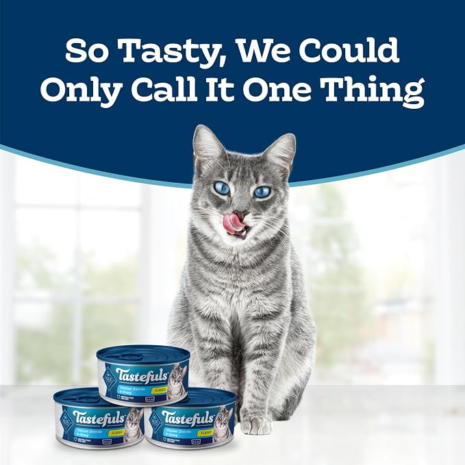 Blue Buffalo Tastefuls Chicken Entrée in Gravy Flaked Adult Wet Cat Food, Real Chicken First, Natural Ingredients Enhanced with Vitamins, Minerals & Other Nutrients, 5.5-oz. Cans (24 Count)