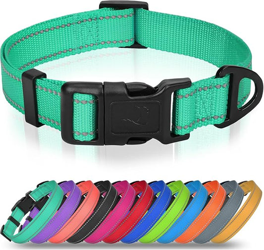 Joytale Dog Collars for Small Dogs, Feather-Light Double-Sided Reflective Nylon Collar for Night Safety, Adjustable Quick-Release for Growing Puppies, Teal, S (5/8" Width)