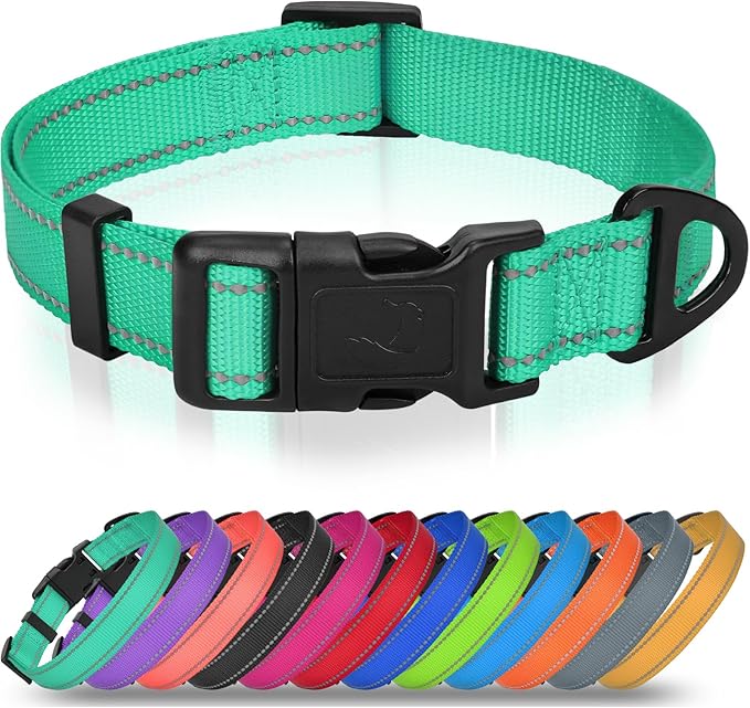 Joytale Dog Collar for Large Dogs, Strong Double-Sided Reflective Nylon Collar for Night Safety, Adjustable Quick-Release for Daily Walking, Teal, L (1" Width)