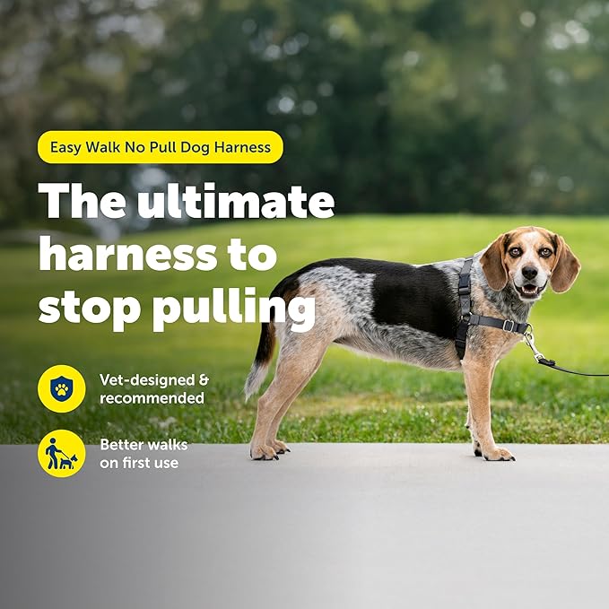 PetSafe Easy Walk No-Pull Dog Harness - Ultimate Harness to Help Stop Pulling - Pull-Free Walks - Take Control & Teach Better Leash Manners - Patented Martingale Loop Design - Gray, Small/Medium