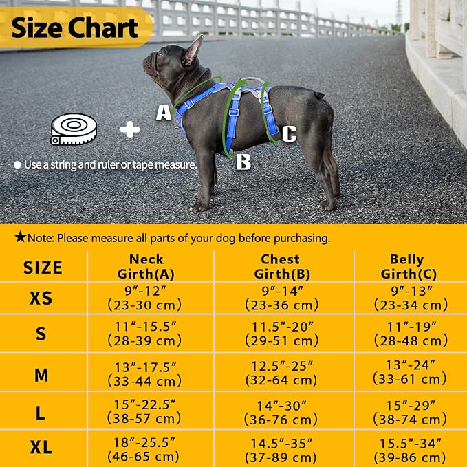 Huntboo Escape Proof Dog Harness, Secure Dog Harness No Escape, Fully Reflective Harness with Handle,Breathable,Durable, Adjustable Vest for Small Dogs Walking, Training,and Running Gear (Sea Blue,S)