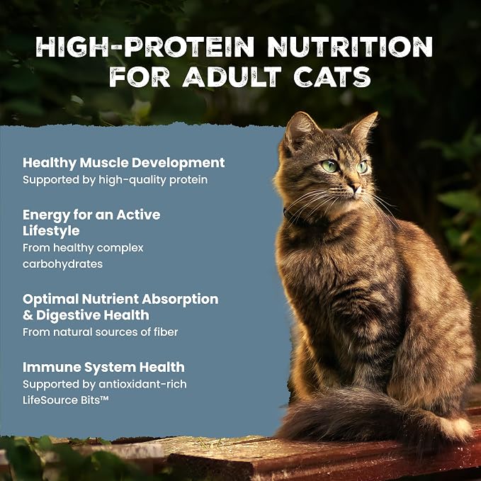 Blue Buffalo Wilderness Chicken Natural High-Protein Grain-Free Dry Food for Adult Indoor Cats, Real Chicken First, Antioxidant-Rich LifeSource Bits Support Immunity, Promotes Strong Muscles, 11 lbs.