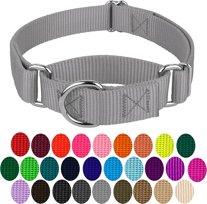 Country Brook Petz - Martingale Dog Collar - Heavy-Duty Training Collar with No Buckle - Service Dog Collar for All Pups - 20 Vibrant Colors (Silver, 3/8 Inch, 3XS)