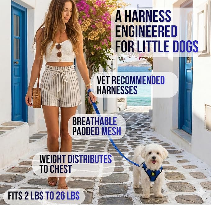 EcoBark Step in Dog Harness Reflective Soft Ultra Padded Mesh Dog Harnesses for XXS, XS, Small, and Medium Dogs Eco-Friendly Comfort Secure Halter No Pull Adjustable Pet Vest