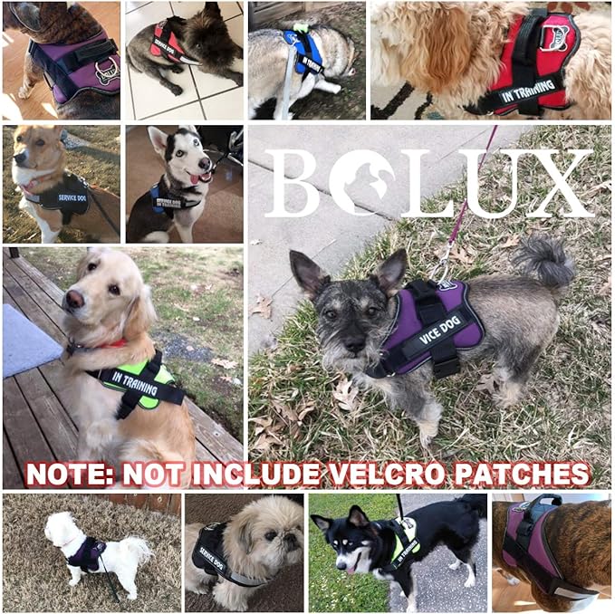 Dog Harness, No-Pull Reflective Dog Vest, Breathable Adjustable Pet Harness with Handle for Outdoor Walking - No More Pulling, Tugging or Choking (Purple, L)