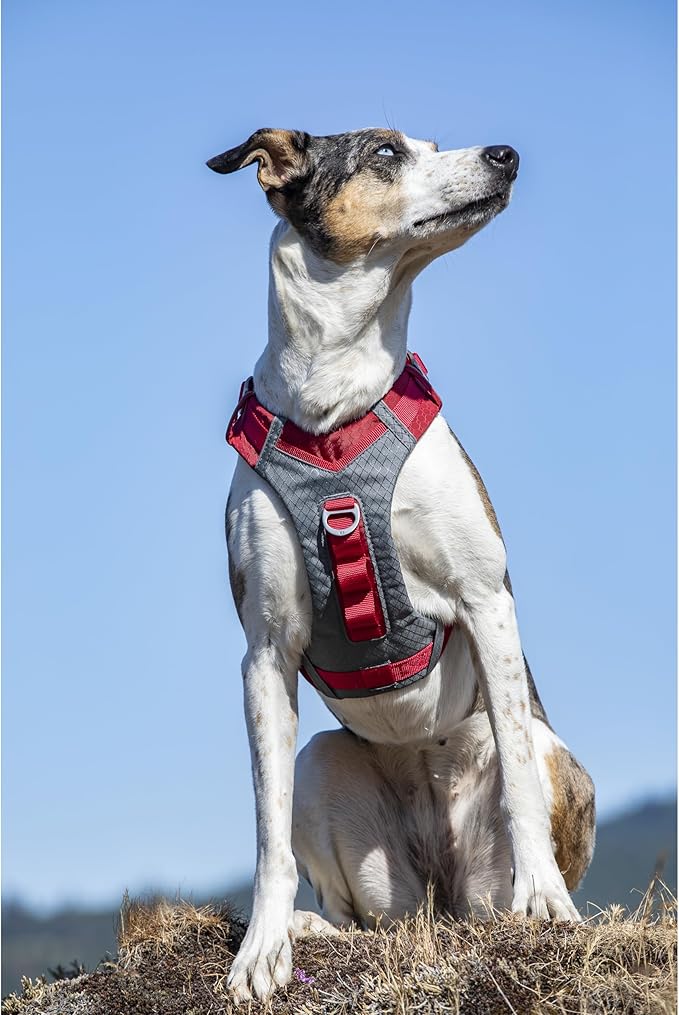 Kurgo Journey Air Dog Harness - Secure Fit for Active Dogs - Padded Chest - Lightweight Ripstop Fabric - Breathable Mesh - Reflective Trim - Back Assist Handle - Red - Large