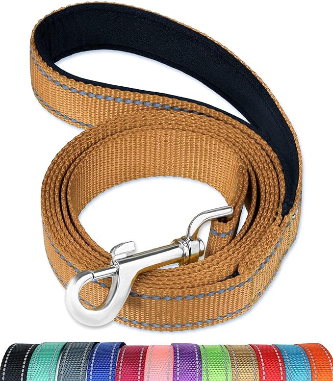 FunTags 4FT Khaki Reflective Dog Leash for Medium & Small Dogs Training, Soft Padded Handle Comfortable Grip, Heavy Duty Nylon, Reflective for Night Walking, 3/4in Wide