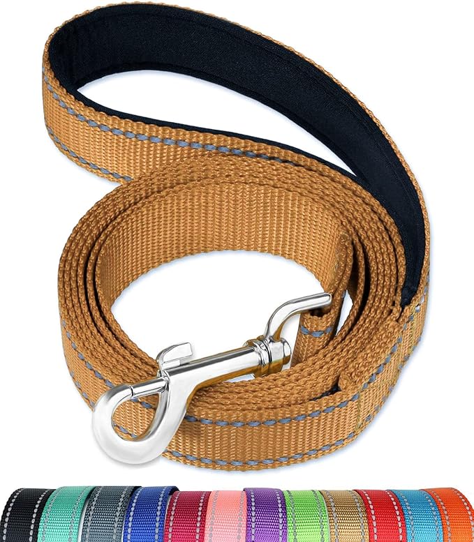 FunTags 6FT Khaki Reflective Dog Leash for Medium & Small Dogs Walking, Soft Padded Handle Comfortable Grip, Heavy Duty Nylon, Reflective for Night Walking, 3/4in Wide