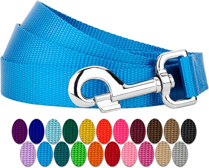 Country Brook Petz - Everyday Nylon Dog Leash - Strong, Durable, Solid Color Leash with Easy to Use Snap - 25+ Colors (1 Inch Wide, 6 Foot, Ice Blue)