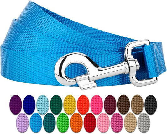 Country Brook Petz - Everyday Nylon Dog Leash - Strong, Durable, Solid Color Leash with Easy to Use Snap - 25+ Colors (1 Inch Wide, 6 Foot, Ice Blue)