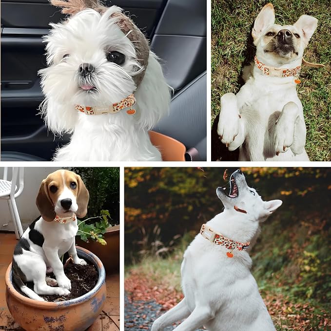 Fall Dog Collar – Halloween & Thanksgiving Dog Collars for Extra Small Dogs – Soft & Comfortable Autumn Puppy Collar with Quick Release Buckle, Extra Small Dog Collars for Girl Boy Dogs-XS