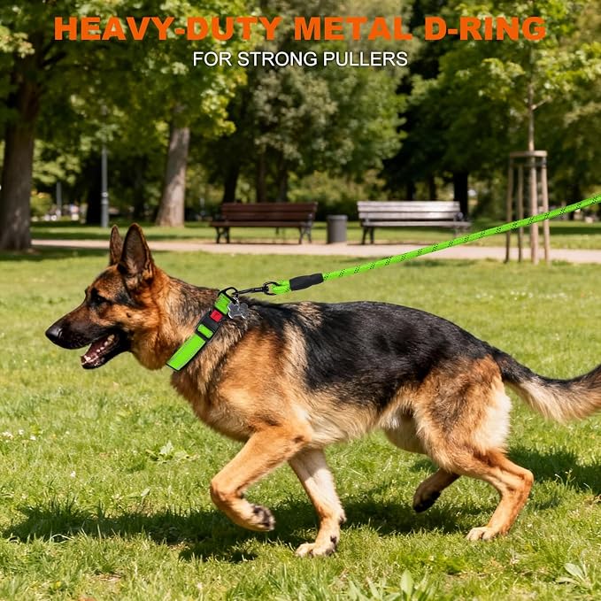 Taglory Reflective Dog Collar for Large Dogs, Soft Neoprene Padded with Escape-Proof Locking Buckle, Upgraded Zinc Alloy Ring, Adjustable for Pitbull Labrador Retriever, Green,L