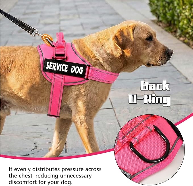 MUMUPET Service Dog Harness, No Pull Reflective Adjustable with Handle, Soft Breathable Padding for Small Dogs, 2 Removable Velcro Patches (Hot Pink, S)