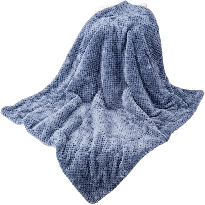 DW Plush Fleece Receiving Blanket for Dog, Cat, and Pet - Warm and Soft, Couch, Sofa, Travel and Outdoor, Camping (24" x 32", Smoked Blue)