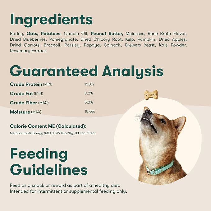 Jinx Oven-Baked Peanut Buter & Bone Broth Dog Biscuits Treats - Crunchy, All Natural, Nutrient Dense Dog Biscuits for Puppies, Adults & Seniors - 16oz