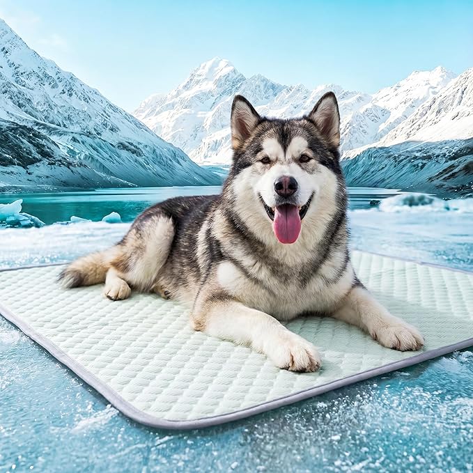 PatiencET Extra Large Dog Cooling Mat, 40 x 50 in XL No-Gel Cooling Pad for Large Dogs, Cool Touch Pet Mat with Ice-Dot Texture, Washable Summer Dog Mat for Bed, Floor, Crate, Sofa, Car, Light Green