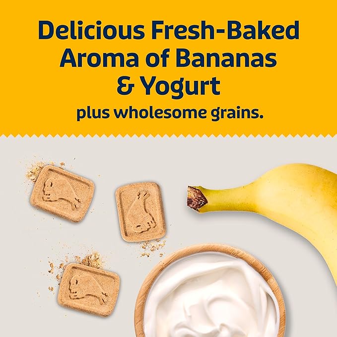 Blue Buffalo Health Bars Bananas & Yogurt Crunchy Dog Biscuits, Oven-Baked with Real Bananas & Natural Ingredients, Healthy Dog Treats with No Artificial Flavors or Preservatives, 16 oz.