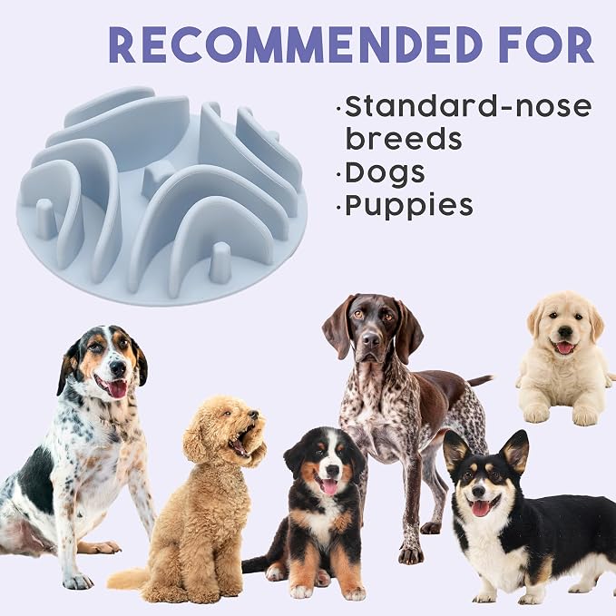 Awoo Great Vibes - Silicone Slow Feeder for Dog Bowls Over 5.5 Inches - Non-Slip, Wet and Dry Food-Compatible Pet Dish with Suction Cups - Extends Mealtime for Fast Eaters - Dishwasher Safe (Almond)