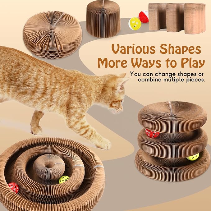 Double-Layer Cat Track Ball Toy, Cat Ball Adventure The Ultimate Interactive Mental Physical Exercise for Indoor Cats Toy