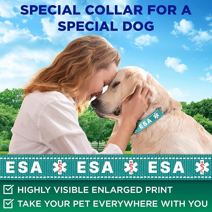 TECEUM Reflective Pet Collar – Teal - ESA – S – Extra Soft Padding – Basic Nylon Dog Collar – Quick Release Buckle – Fits Small, Medium and Large Dogs, Puppies, Cats – ESA & Service Dog Options