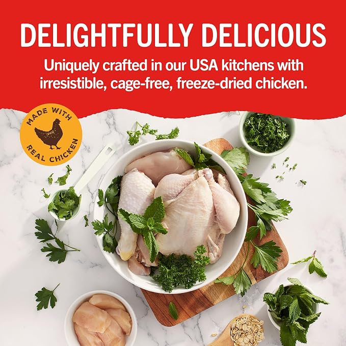 Stella & Chewy's Dental Delights with Freeze-Dried Chicken - Medium Dental Treats for Dogs, 5.5 Ounce Bag