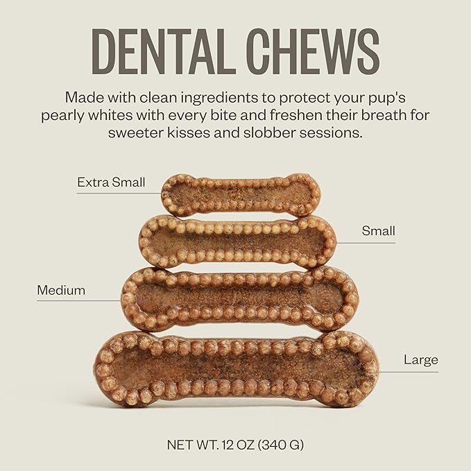 Ollie Dental Chews for Large Dogs, 4 Pack, Fresh Breath, Teeth Cleaning Treats, Sticks for Dog Oral Care, with Parsley and Cinnimon, for Pups 51 lbs and Above