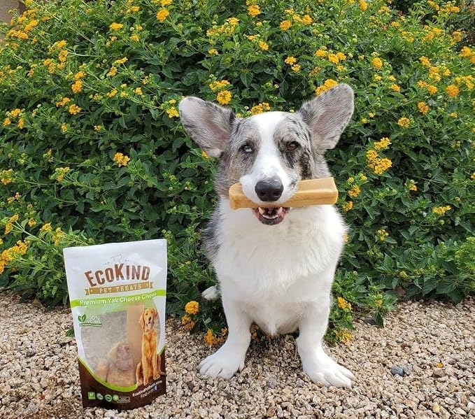 EcoKind Yak Cheese Himalayan Dog Chews, Yak Chews for Large Dogs, Long Lasting Bone for Aggressive Chewers, 3 Ingredients, Natural High Protein Treats, No Additives, Lactose Free, Large 1lb, 4-5 Chews