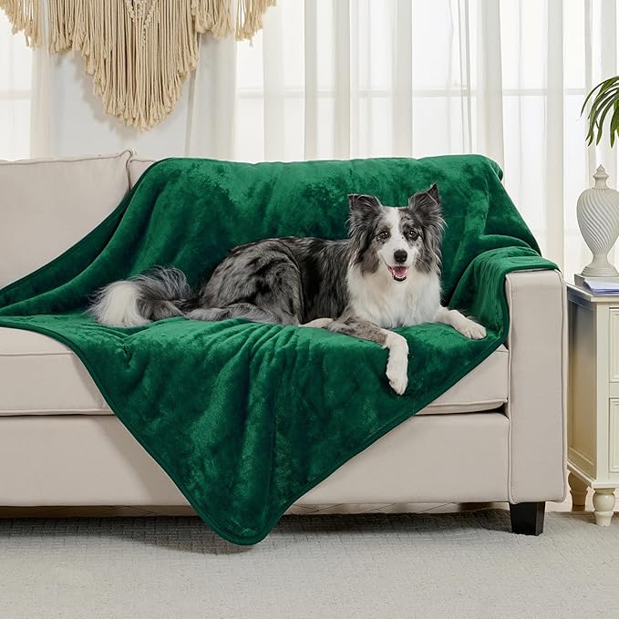 Waterproof Blanket for Bed Couch Sofa, Soft Liquid Pee Proof Pet Blanket for Dog Puppy Cat, Reversible Sherpa Fleece Furniture Protector (Green, 50x60 inches)