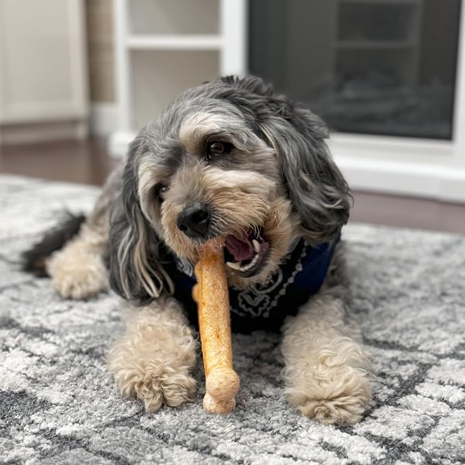 Fieldcrest Farms Nothin' to Hide Collagen-Based Dog Chew, Wishbone, Beef Flavor, Ultra-Premium, for Dogs Over 50lbs, Easily Digestible, Supports Skin, Coat, Joints & Muscles, 7-Inch, 1 Piece