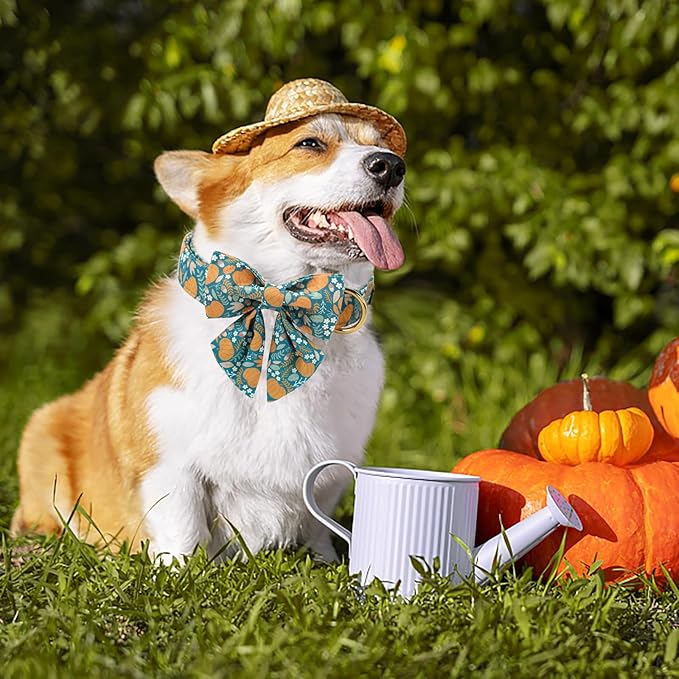 Unique style paws Cartoon Dog Collar with Bowtie Autumn Halloween Puppy Collar with Green Pumpkin for Small Medium Large Boys Girls Dogs