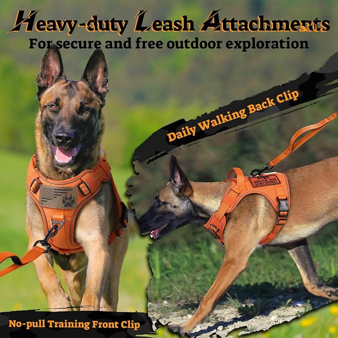 rabbitgoo Tactical Dog Harness for Large Dogs No Pull Adjustable Military Vest with Handle MOLLE Reflective Heavy Duty Dog Vest for Walking Training Hunting Outdoor Working Medium Size Dog Orange M