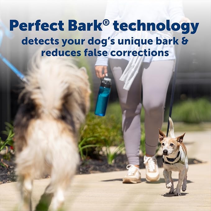 PetSafe NanoBark 2.0 Bark Collar for Small Dogs Lightweight, Adjustable 4-15" Neck Smart Bark Detection Auto-Adjusting Static Correction Waterproof & Rechargeable Up to 7 Days Battery