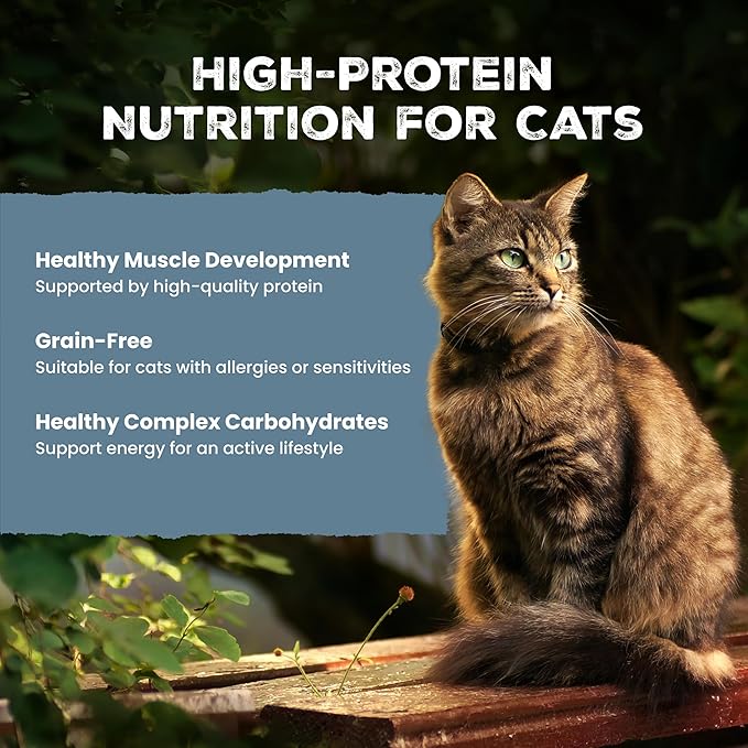 Blue Buffalo Wilderness Chicken Paté Adult Wet Cat Food, High-Protein & Grain-Free Recipe Enhanced with Vitamins, Minerals, and Other Nutrients, 5.5-oz. Cans (24 Count)