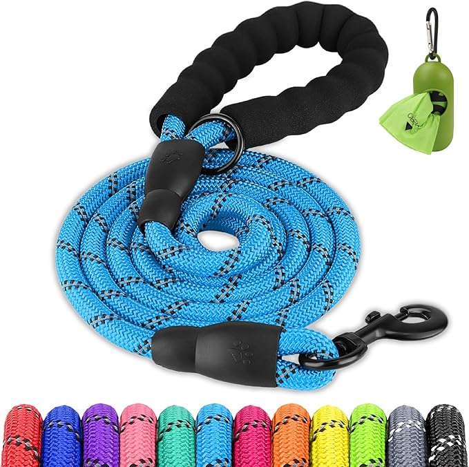 Joytale Dog Leash for Small Dogs, Heavy Duty Nylon Leashes with Comfortable Padded Handle and Highly Reflective Threads, Ideal for Walking and Training, SkyBlue, 5'×3/8‘’