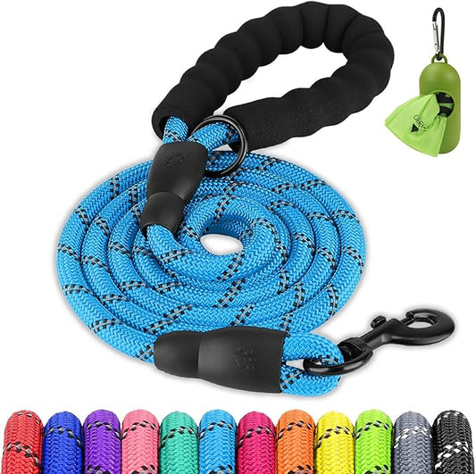 Joytale Dog Leash for Small Dogs, Heavy Duty Nylon Leashes with Comfortable Padded Handle and Highly Reflective Threads, Ideal for Walking and Training, SkyBlue, 5'×3/8‘’
