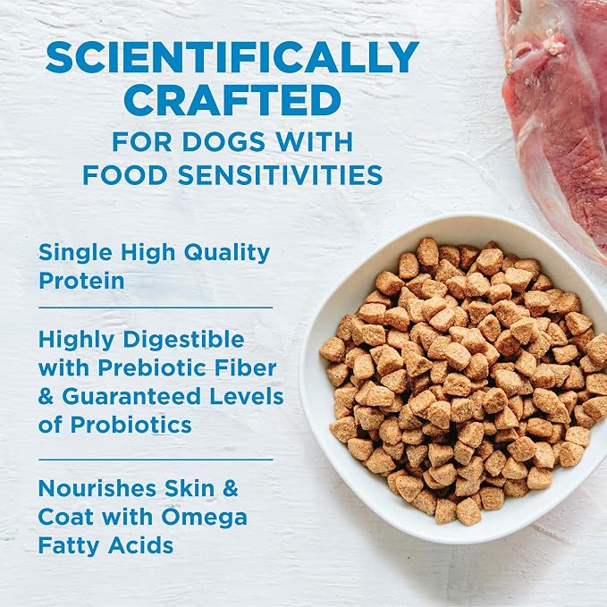 Wellness Simple Limited Ingredient Adult Dry Dog Food, Grain Free Kibble, Sensitive Stomach, Skin & Coat Support, Natural, Chicken Free, Salmon and Potato Recipe, 40 lb Bag