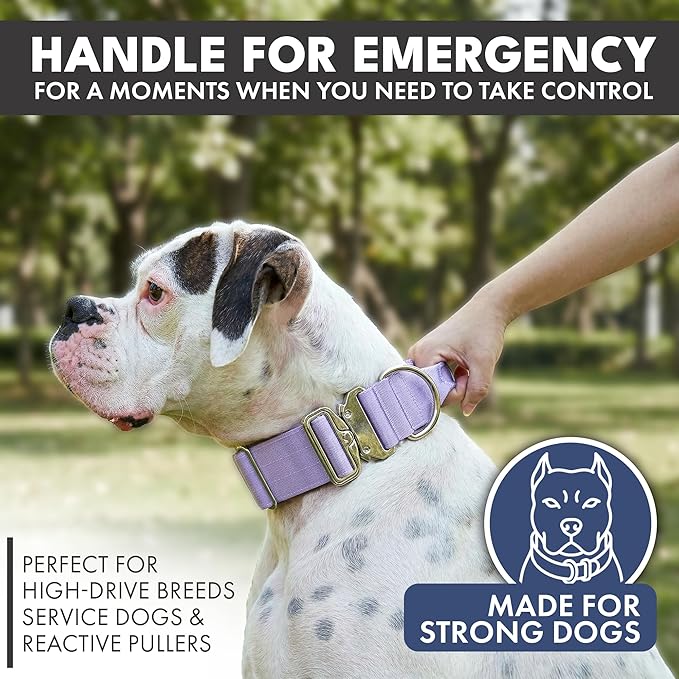 Spark Paws Tactical Dog Collar - Heavy Duty, Premium Quality, Thick and Durable for Large and Medium Dogs - Purple - XS - 1"