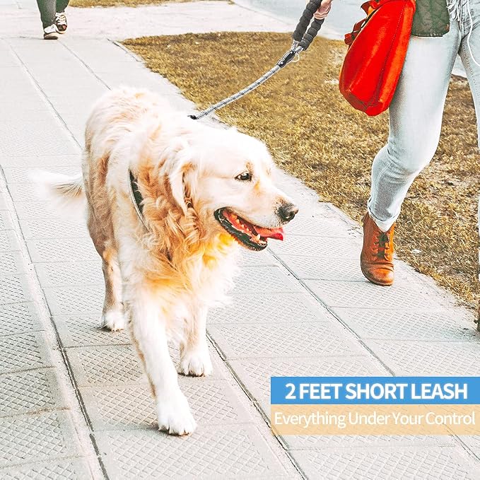 BAAPET 2/4/5/6 FT Dog Leash with Comfortable Padded Handle and Highly Reflective Threads for Small Medium and Large Dogs (2FT-1/2'', Silver)